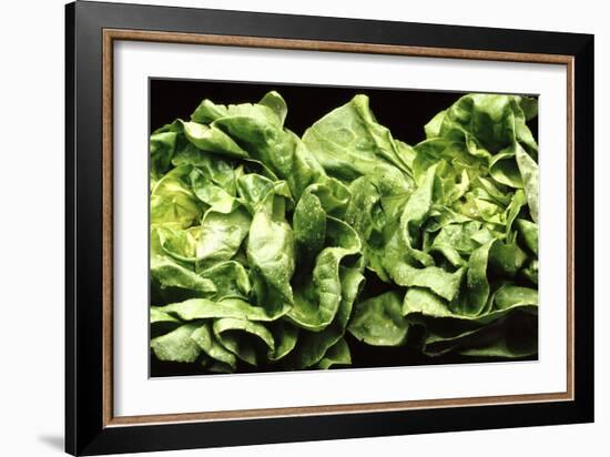 Lettuces-Victor De Schwanberg-Framed Photographic Print