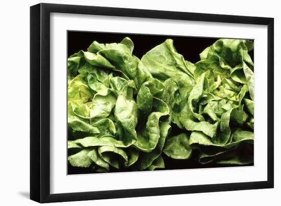 Lettuces-Victor De Schwanberg-Framed Photographic Print