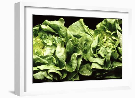 Lettuces-Victor De Schwanberg-Framed Photographic Print
