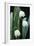 Leucojum Vernum Flowers-Archie Young-Framed Photographic Print