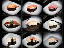 Set Of 9 Different Nigirizushi (Sushi)-Lev4-Framed Art Print