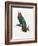 Levaillant Parrot VI-Francois Levaillant-Framed Art Print