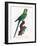 Levaillant Parrot VII-Francois Levaillant-Framed Art Print