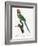 Levaillant Parrot VIII-Francois Levaillant-Framed Art Print