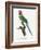 Levaillant Parrot VIII-Francois Levaillant-Framed Art Print