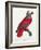 Levaillant Parrot XI-Francois Levaillant-Framed Art Print