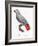 Levaillant Parrot XII-Francois Levaillant-Framed Art Print