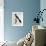 Levaillant's Cuckoo (Clamator Levaillantii)-null-Framed Giclee Print displayed on a wall