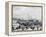 Levee, Foot of Canal St., New Orleans-null-Framed Stretched Canvas