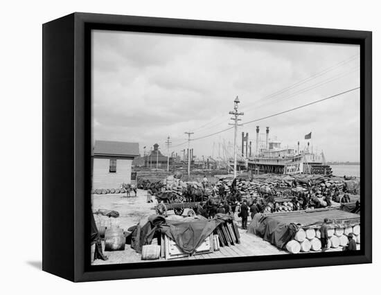 Levee, Foot of Canal St., New Orleans-null-Framed Stretched Canvas