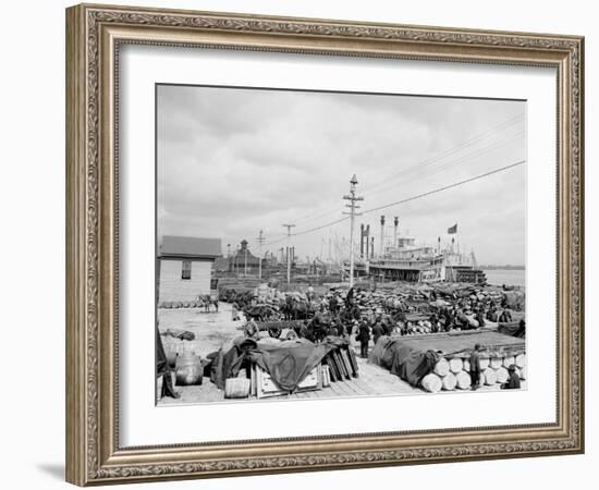 Levee, Foot of Canal St., New Orleans-null-Framed Photo