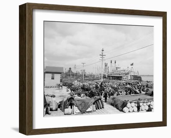 Levee, Foot of Canal St., New Orleans-null-Framed Photo