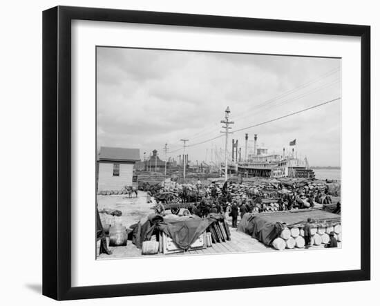 Levee, Foot of Canal St., New Orleans-null-Framed Photo