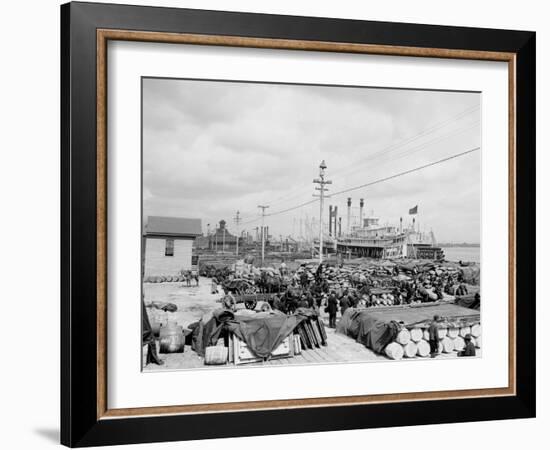 Levee, Foot of Canal St., New Orleans-null-Framed Photo