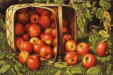 Baskets of Plums-Levi Wells Prentice-Giclee Print