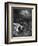 Leviathan-Gustave Dor?-Framed Photographic Print