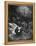 Leviathan-Gustave Dor?-Framed Premier Image Canvas