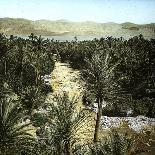 El-Kantara (Algeria), View of the Oasis-Leon, Levy et Fils-Photographic Print