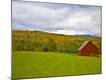 Photographic Print