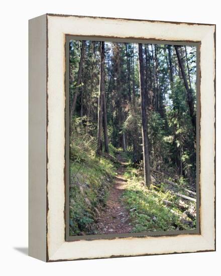 Lewis and Clark Trail over Lolo Pass, Bitterroot Mountains, Montana-null-Framed Premier Image Canvas