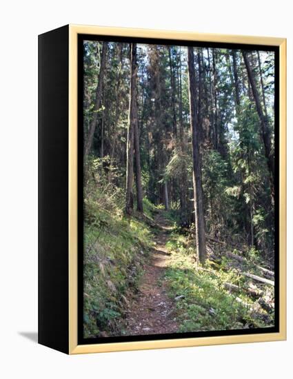 Lewis and Clark Trail over Lolo Pass, Bitterroot Mountains, Montana-null-Framed Premier Image Canvas