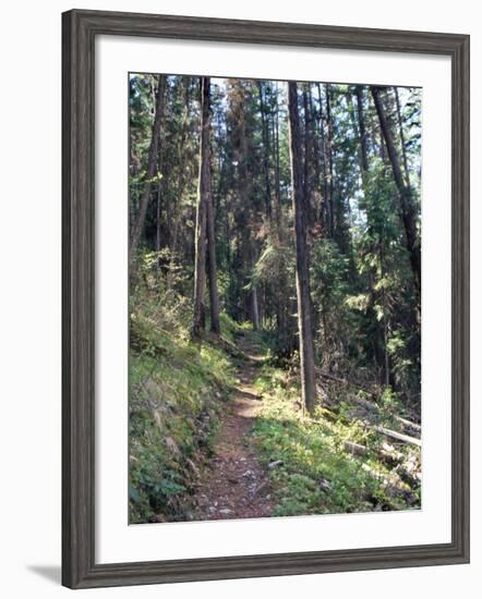 Lewis and Clark Trail over Lolo Pass, Bitterroot Mountains, Montana-null-Framed Photographic Print