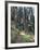 Lewis and Clark Trail over Lolo Pass, Bitterroot Mountains, Montana-null-Framed Photographic Print