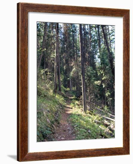 Lewis and Clark Trail over Lolo Pass, Bitterroot Mountains, Montana-null-Framed Photographic Print