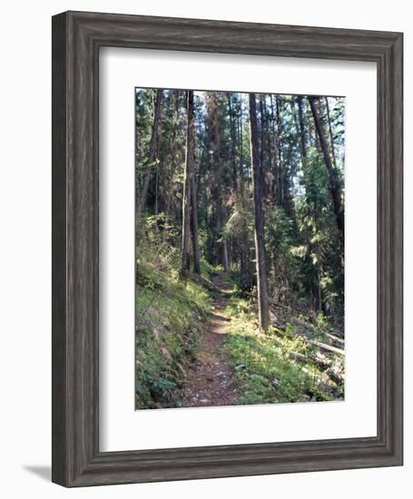 Lewis and Clark Trail over Lolo Pass, Bitterroot Mountains, Montana-null-Framed Photographic Print