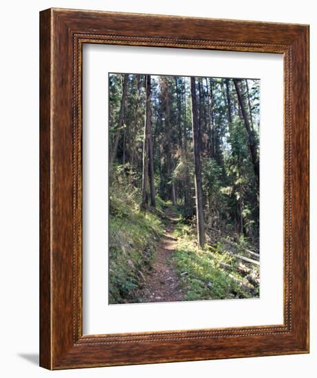 Lewis and Clark Trail over Lolo Pass, Bitterroot Mountains, Montana-null-Framed Photographic Print