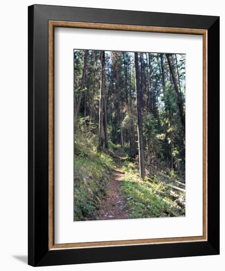 Lewis and Clark Trail over Lolo Pass, Bitterroot Mountains, Montana-null-Framed Photographic Print