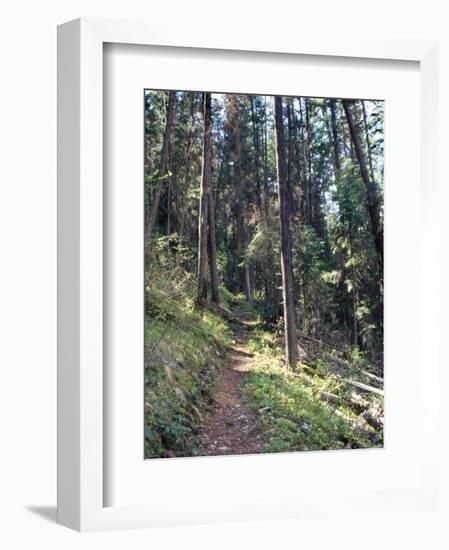 Lewis and Clark Trail over Lolo Pass, Bitterroot Mountains, Montana-null-Framed Photographic Print