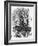 Lewis Carroll --John Tenniel-Framed Giclee Print