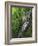 Lewis Falls, Shenandoah National Park, Virginia, USA-Charles Gurche-Framed Photographic Print