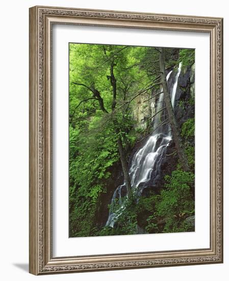 Lewis Falls, Shenandoah National Park, Virginia, USA-Charles Gurche-Framed Photographic Print