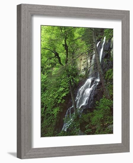 Lewis Falls, Shenandoah National Park, Virginia, USA-Charles Gurche-Framed Photographic Print