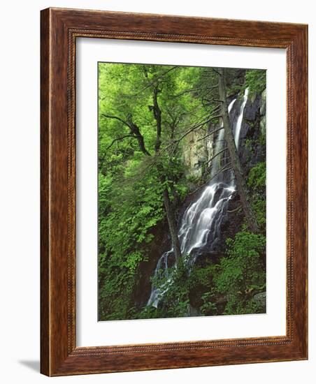 Lewis Falls, Shenandoah National Park, Virginia, USA-Charles Gurche-Framed Photographic Print