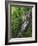 Lewis Falls, Shenandoah National Park, Virginia, USA-Charles Gurche-Framed Photographic Print