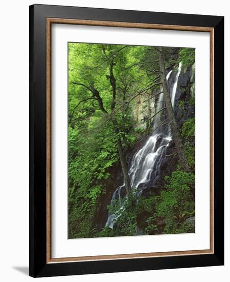 Lewis Falls, Shenandoah National Park, Virginia, USA-Charles Gurche-Framed Photographic Print