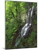 Lewis Falls, Shenandoah National Park, Virginia, USA-Charles Gurche-Mounted Photographic Print