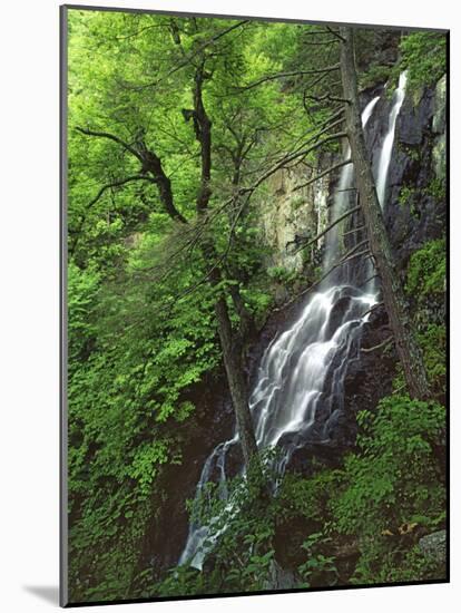 Lewis Falls, Shenandoah National Park, Virginia, USA-Charles Gurche-Mounted Photographic Print