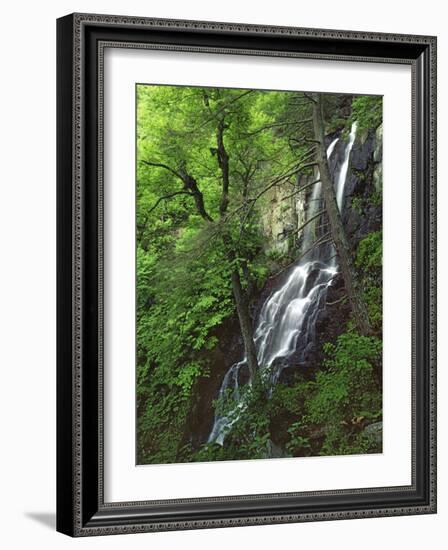 Lewis Falls, Shenandoah National Park, Virginia, USA-Charles Gurche-Framed Photographic Print