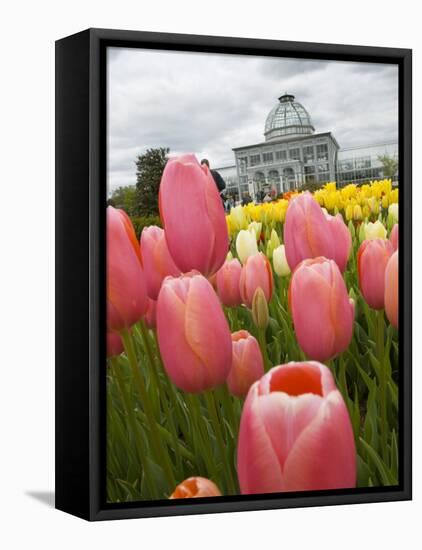 Lewis Ginter Botanical Garden, Richmond, Virginia, United States of America, North America-Snell Michael-Framed Premier Image Canvas