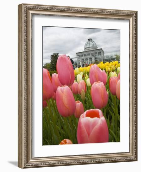 Lewis Ginter Botanical Garden, Richmond, Virginia, United States of America, North America-Snell Michael-Framed Photographic Print