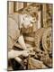 Photographic Print