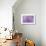 Lewisia II-Donald Paulson-Giclee Print displayed on a wall