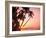 Lewolin Village, Illi Api Island, Selat Boleng Strait, Indonesia-Stuart Westmorland-Framed Photographic Print