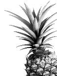 Pineapple (color)-Lexie Greer-Framed Photographic Print