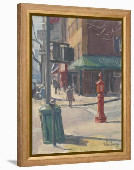 Lexington Avenue, 2010-Julian Barrow-Framed Premier Image Canvas