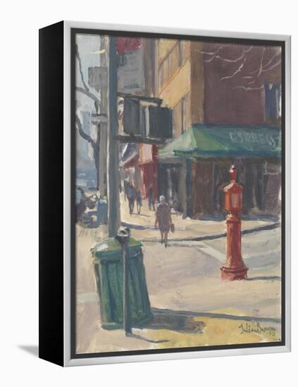 Lexington Avenue, 2010-Julian Barrow-Framed Premier Image Canvas